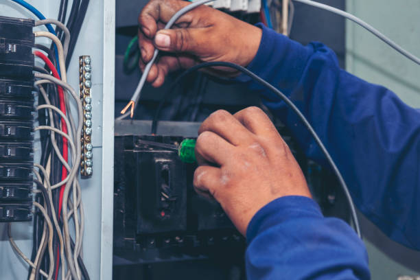 Best Electric Panel Repair  in Buhl, ID